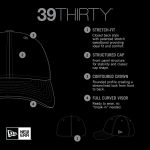 Milwaukee Brewers Jerseys Shop – mens milwaukee brewers new era gray linear 39thirty flex-fit hat Baseball Jerseys and Caps
