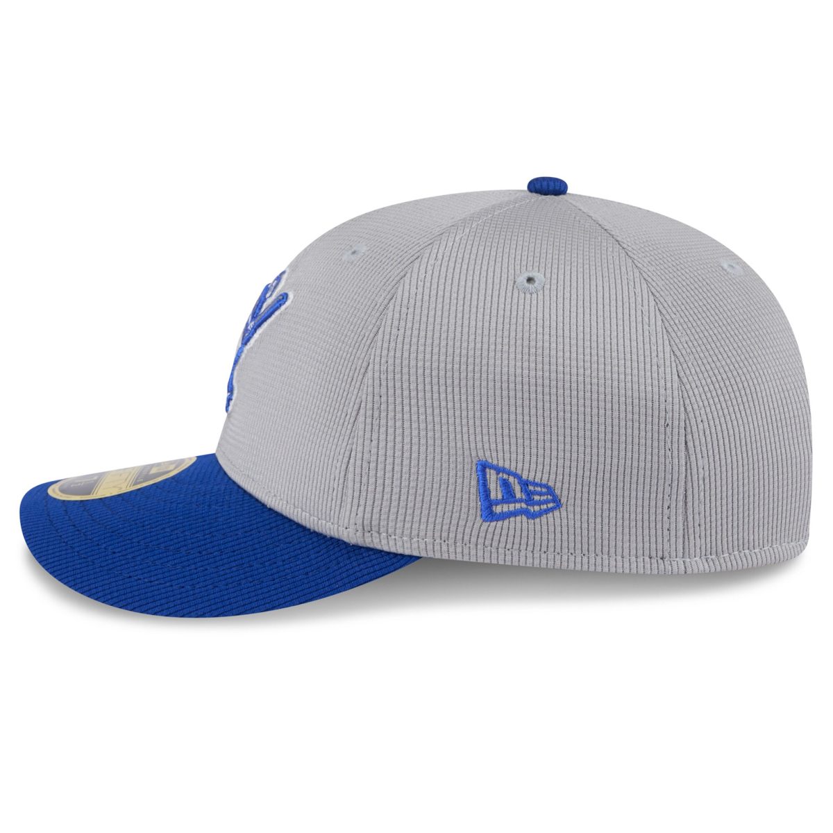Milwaukee Brewers Jerseys Shop – mens milwaukee brewers new era grayroyal 2025 batting practice low profile 59fifty fitted hat Baseball Jerseys and Caps