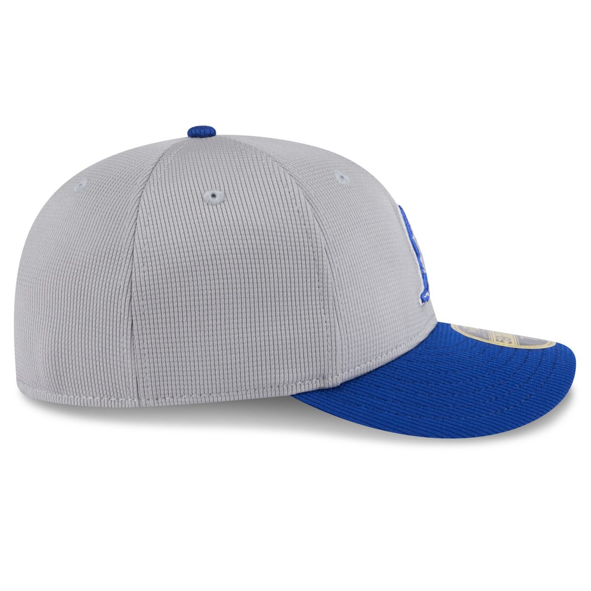 Milwaukee Brewers Jerseys Shop – mens milwaukee brewers new era grayroyal 2025 batting practice low profile 59fifty fitted hat Baseball Jerseys and Caps